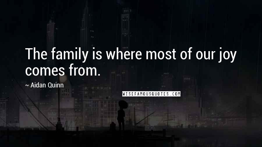 Aidan Quinn Quotes: The family is where most of our joy comes from.