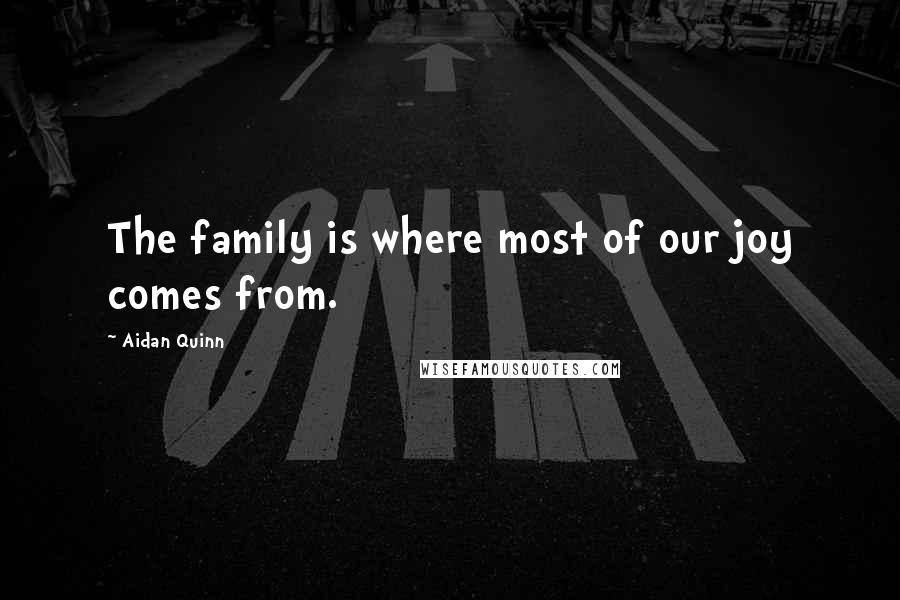 Aidan Quinn Quotes: The family is where most of our joy comes from.