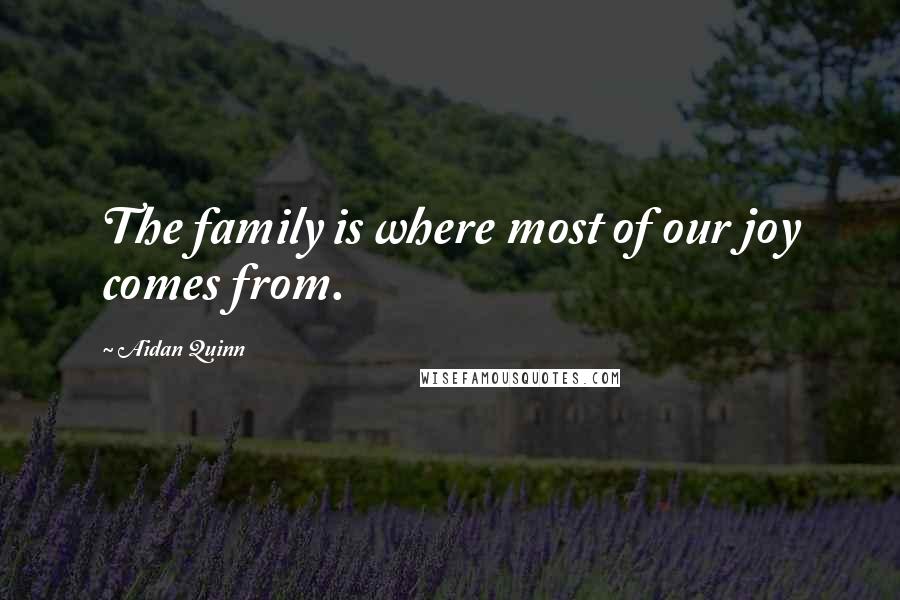 Aidan Quinn Quotes: The family is where most of our joy comes from.