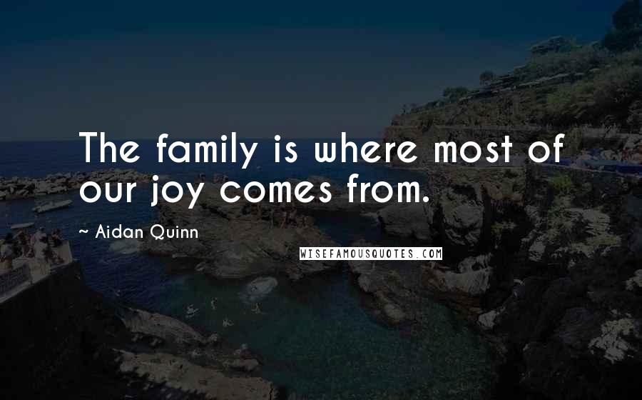 Aidan Quinn Quotes: The family is where most of our joy comes from.