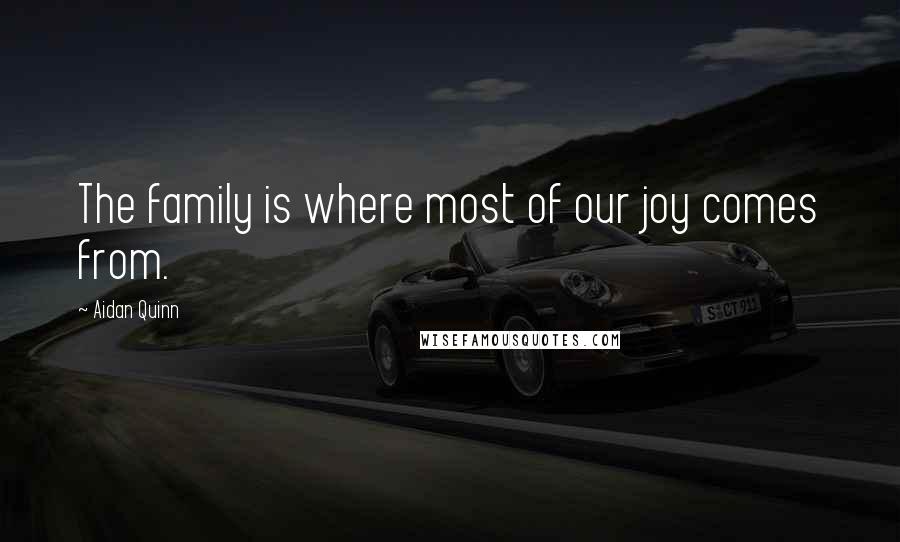 Aidan Quinn Quotes: The family is where most of our joy comes from.