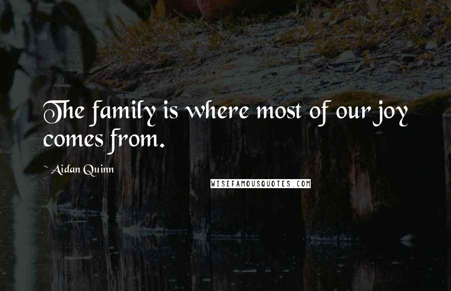 Aidan Quinn Quotes: The family is where most of our joy comes from.