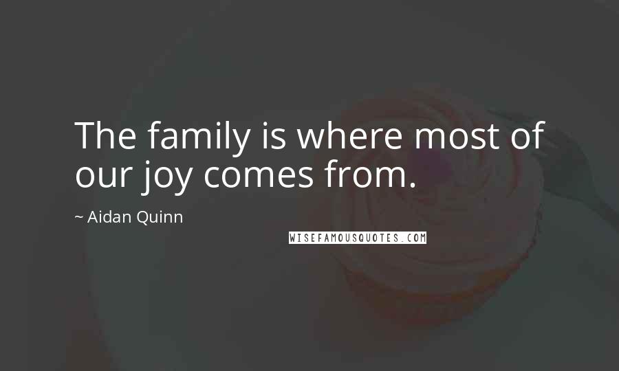 Aidan Quinn Quotes: The family is where most of our joy comes from.