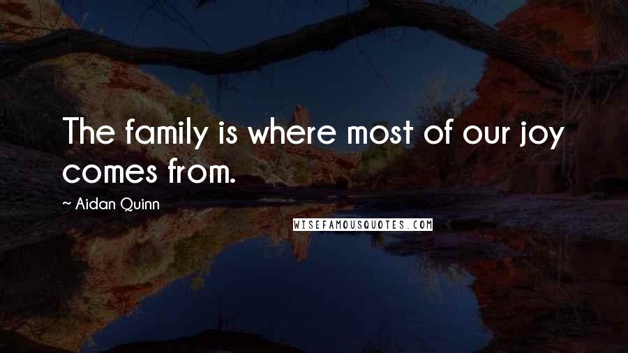 Aidan Quinn Quotes: The family is where most of our joy comes from.