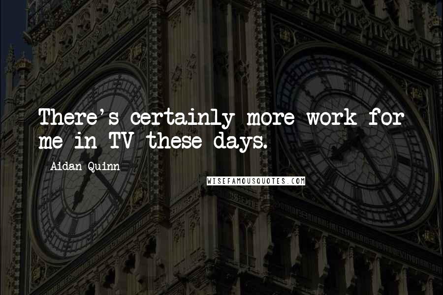 Aidan Quinn Quotes: There's certainly more work for me in TV these days.