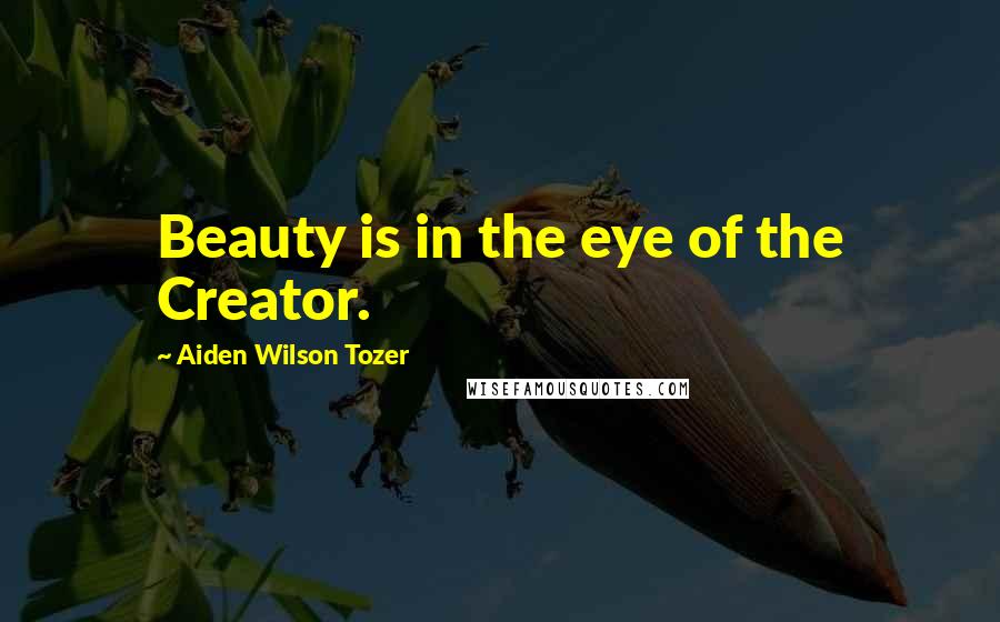 Aiden Wilson Tozer Quotes: Beauty is in the eye of the Creator.