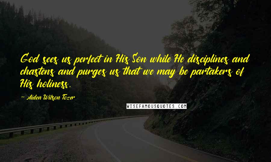 Aiden Wilson Tozer Quotes: God sees us perfect in His Son while He disciplines and chastens and purges us that we may be partakers of His holiness.