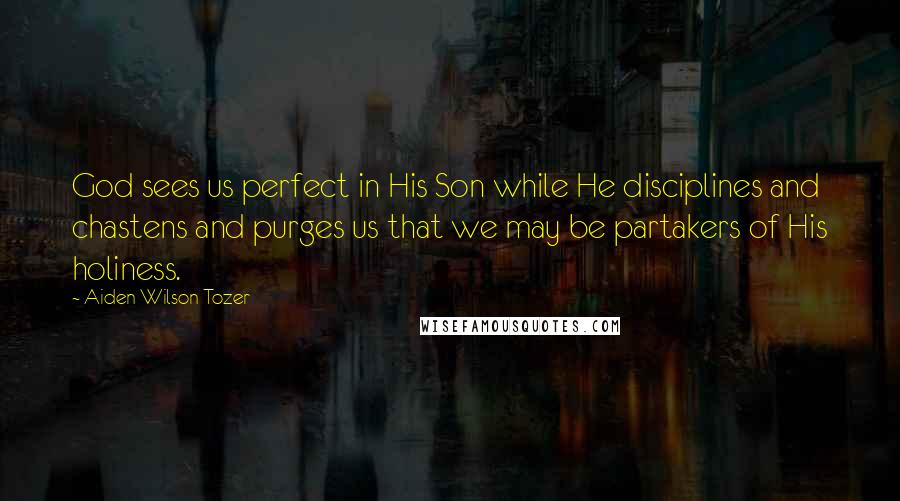 Aiden Wilson Tozer Quotes: God sees us perfect in His Son while He disciplines and chastens and purges us that we may be partakers of His holiness.
