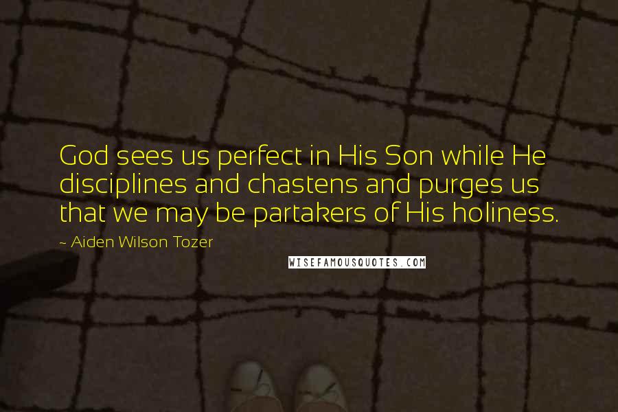 Aiden Wilson Tozer Quotes: God sees us perfect in His Son while He disciplines and chastens and purges us that we may be partakers of His holiness.