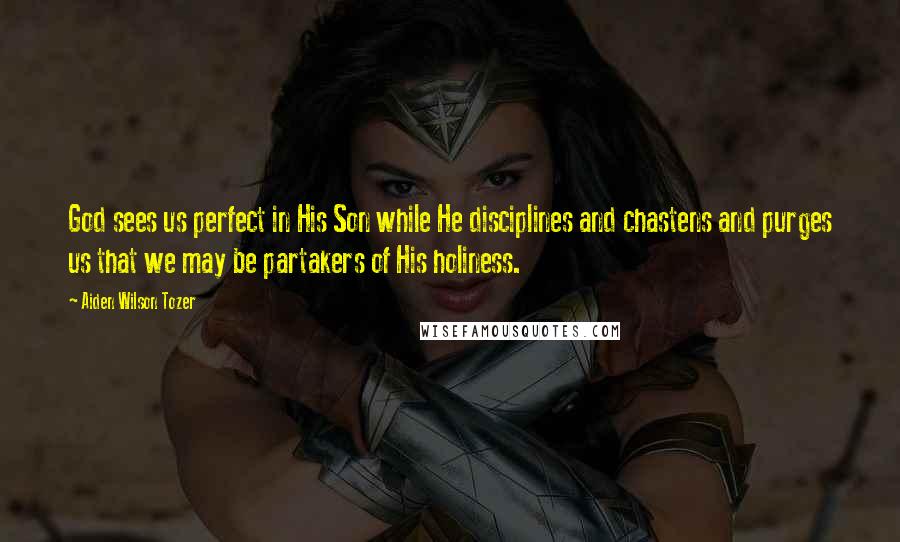 Aiden Wilson Tozer Quotes: God sees us perfect in His Son while He disciplines and chastens and purges us that we may be partakers of His holiness.