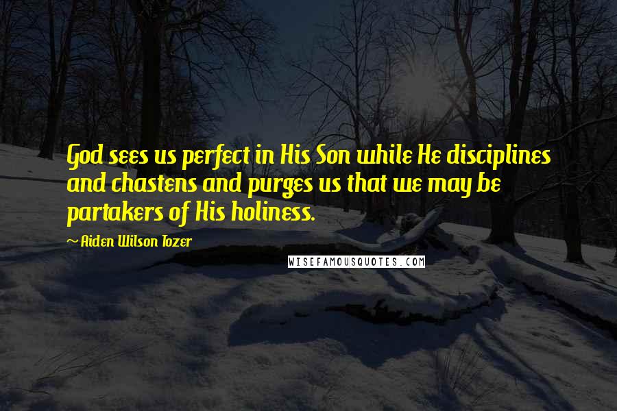 Aiden Wilson Tozer Quotes: God sees us perfect in His Son while He disciplines and chastens and purges us that we may be partakers of His holiness.