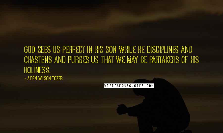 Aiden Wilson Tozer Quotes: God sees us perfect in His Son while He disciplines and chastens and purges us that we may be partakers of His holiness.