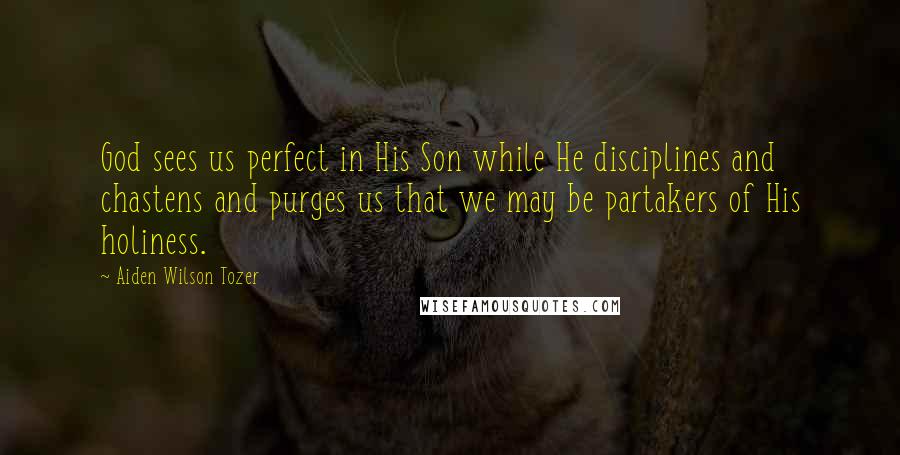 Aiden Wilson Tozer Quotes: God sees us perfect in His Son while He disciplines and chastens and purges us that we may be partakers of His holiness.