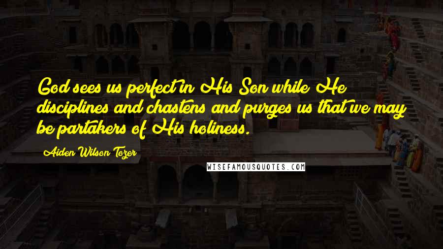 Aiden Wilson Tozer Quotes: God sees us perfect in His Son while He disciplines and chastens and purges us that we may be partakers of His holiness.