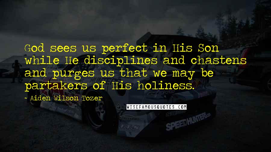 Aiden Wilson Tozer Quotes: God sees us perfect in His Son while He disciplines and chastens and purges us that we may be partakers of His holiness.