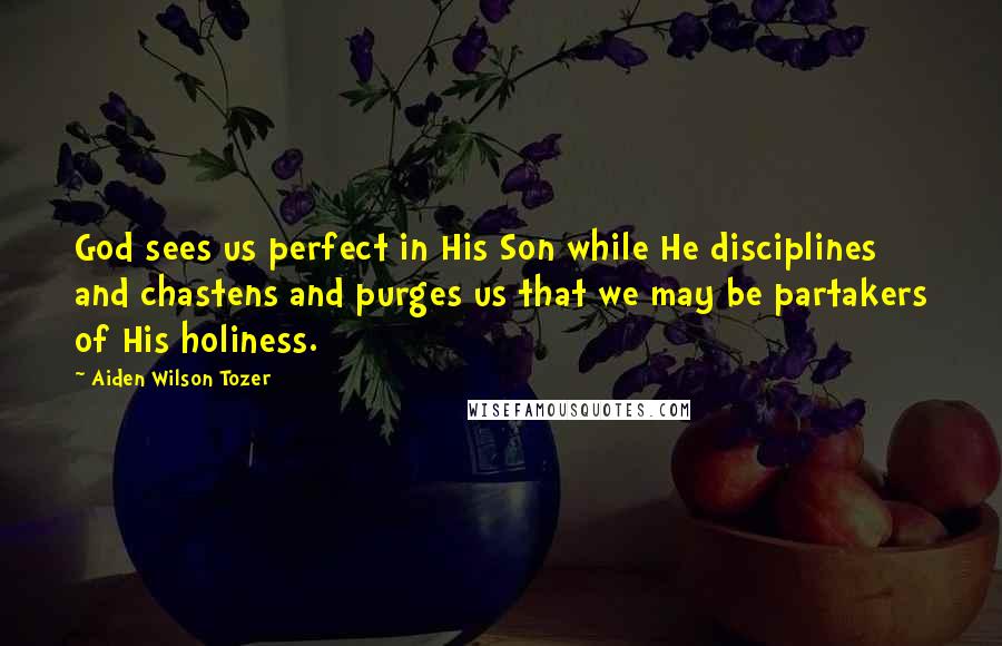 Aiden Wilson Tozer Quotes: God sees us perfect in His Son while He disciplines and chastens and purges us that we may be partakers of His holiness.