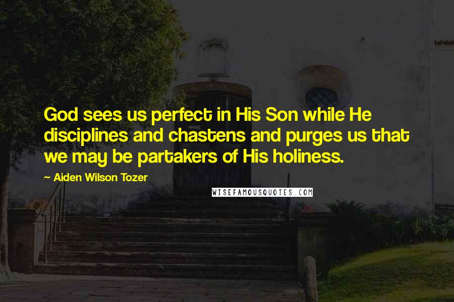 Aiden Wilson Tozer Quotes: God sees us perfect in His Son while He disciplines and chastens and purges us that we may be partakers of His holiness.