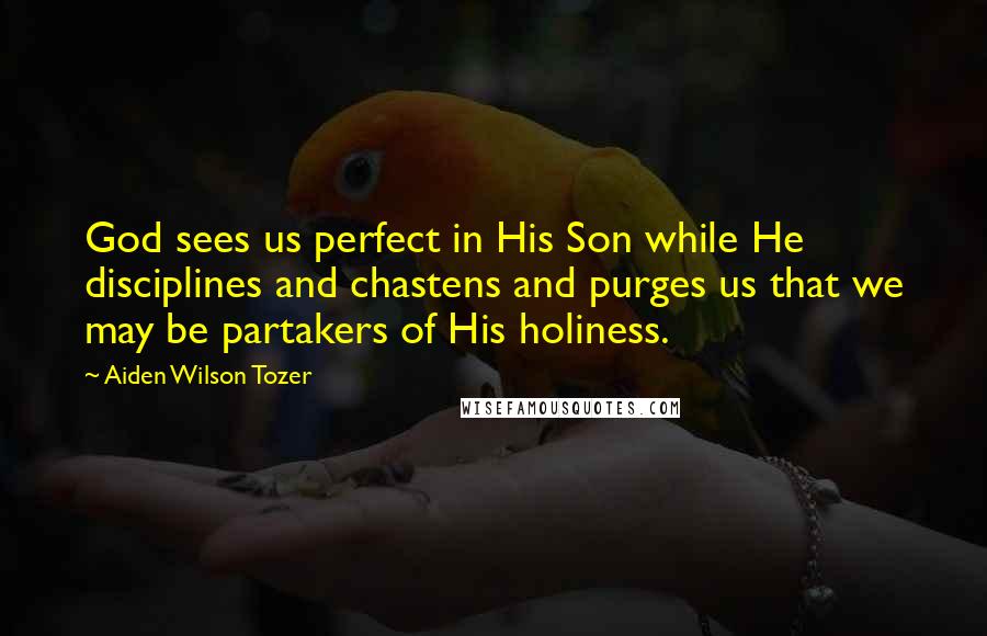 Aiden Wilson Tozer Quotes: God sees us perfect in His Son while He disciplines and chastens and purges us that we may be partakers of His holiness.