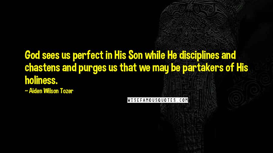 Aiden Wilson Tozer Quotes: God sees us perfect in His Son while He disciplines and chastens and purges us that we may be partakers of His holiness.