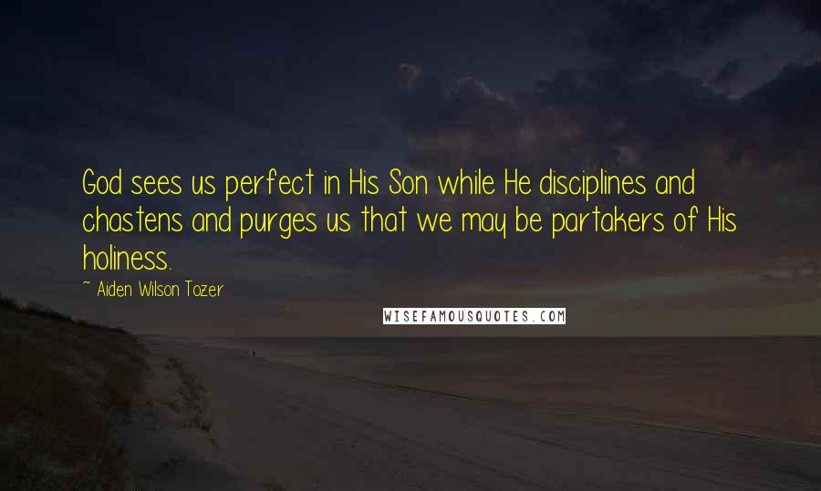 Aiden Wilson Tozer Quotes: God sees us perfect in His Son while He disciplines and chastens and purges us that we may be partakers of His holiness.