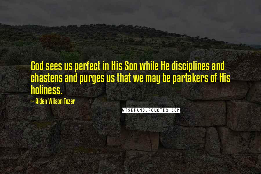 Aiden Wilson Tozer Quotes: God sees us perfect in His Son while He disciplines and chastens and purges us that we may be partakers of His holiness.