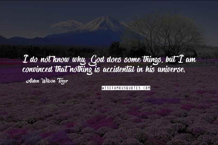 Aiden Wilson Tozer Quotes: I do not know why God does some things, but I am convinced that nothing is accidental in his universe.