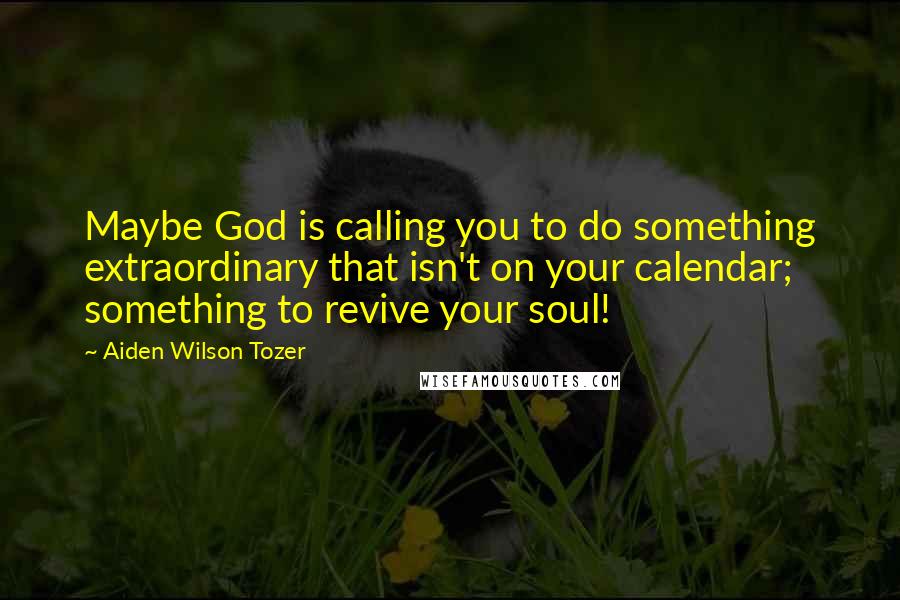 Aiden Wilson Tozer Quotes: Maybe God is calling you to do something extraordinary that isn't on your calendar; something to revive your soul!