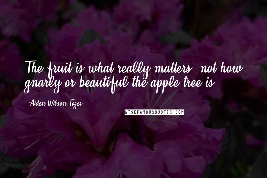 Aiden Wilson Tozer Quotes: The fruit is what really matters, not how gnarly or beautiful the apple tree is.