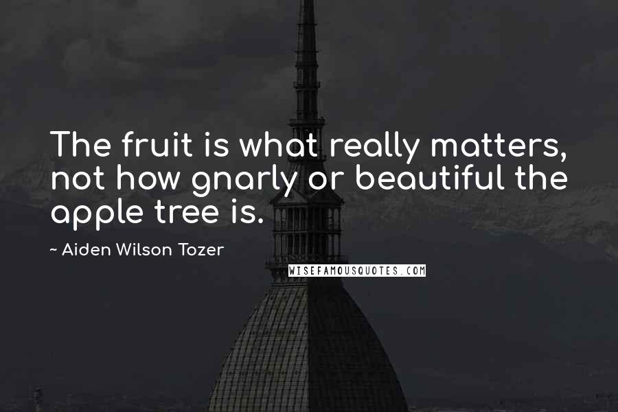 Aiden Wilson Tozer Quotes: The fruit is what really matters, not how gnarly or beautiful the apple tree is.