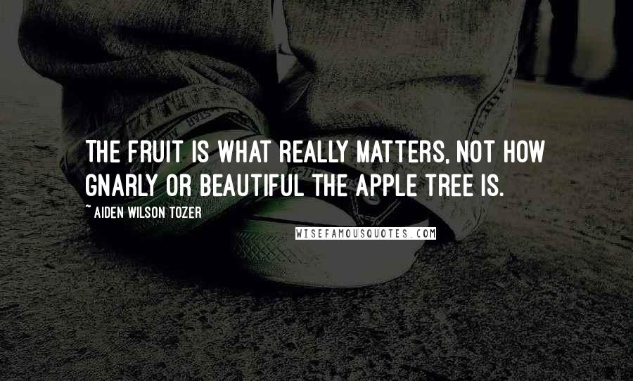 Aiden Wilson Tozer Quotes: The fruit is what really matters, not how gnarly or beautiful the apple tree is.