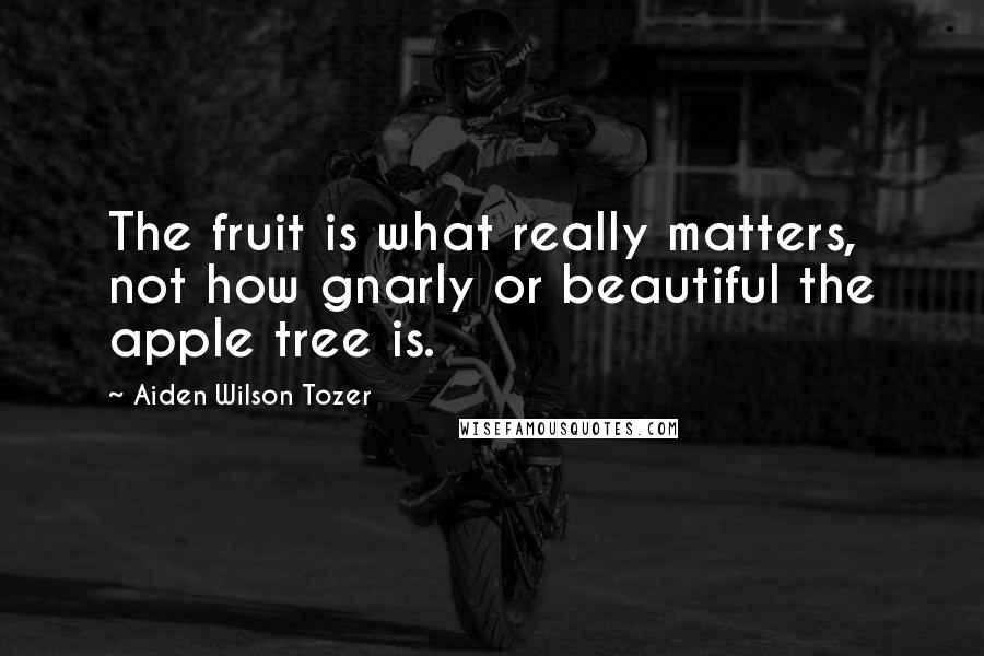 Aiden Wilson Tozer Quotes: The fruit is what really matters, not how gnarly or beautiful the apple tree is.