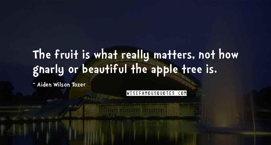 Aiden Wilson Tozer Quotes: The fruit is what really matters, not how gnarly or beautiful the apple tree is.