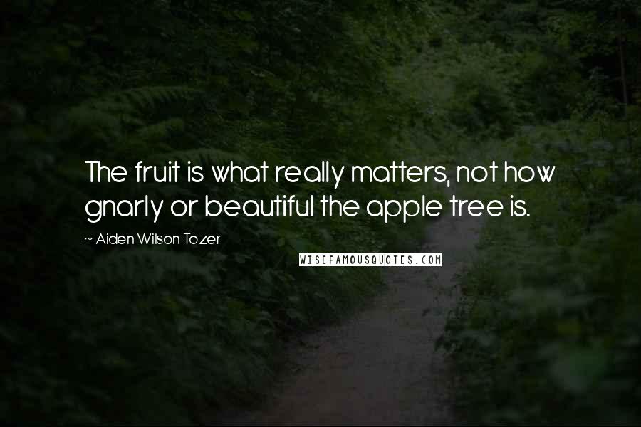 Aiden Wilson Tozer Quotes: The fruit is what really matters, not how gnarly or beautiful the apple tree is.