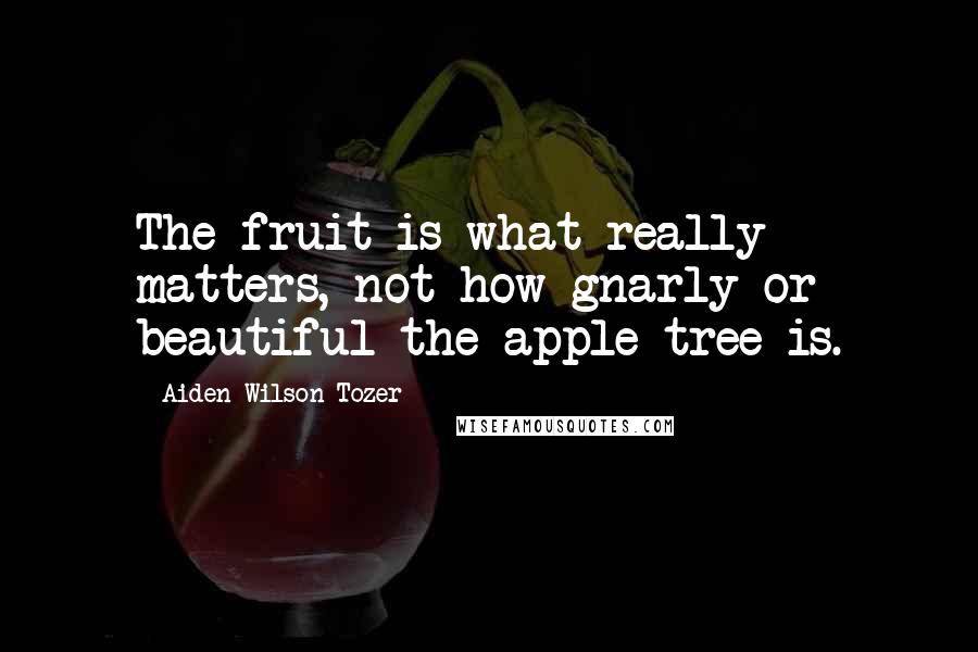 Aiden Wilson Tozer Quotes: The fruit is what really matters, not how gnarly or beautiful the apple tree is.