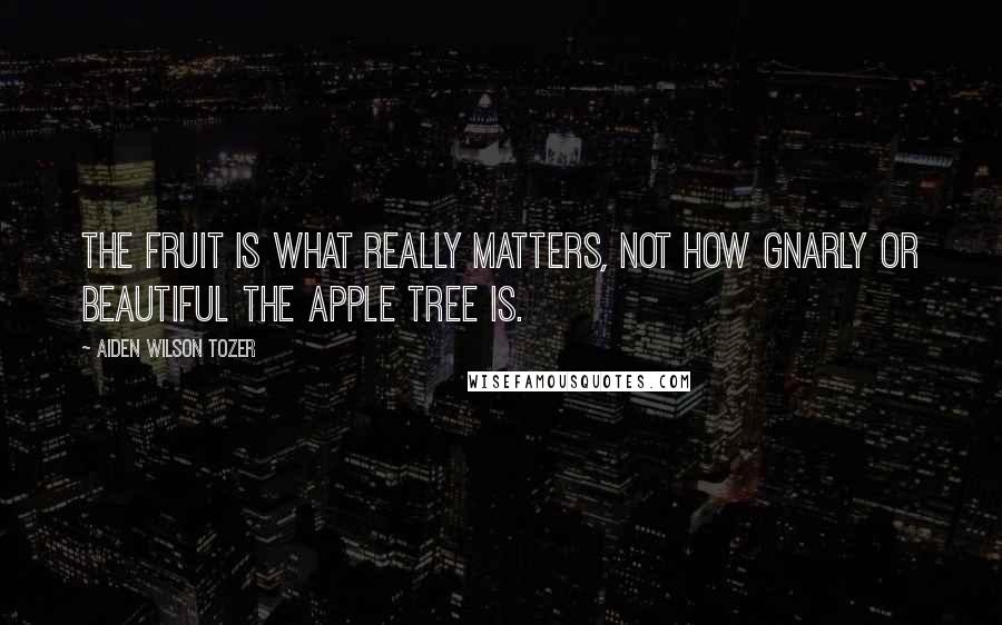 Aiden Wilson Tozer Quotes: The fruit is what really matters, not how gnarly or beautiful the apple tree is.