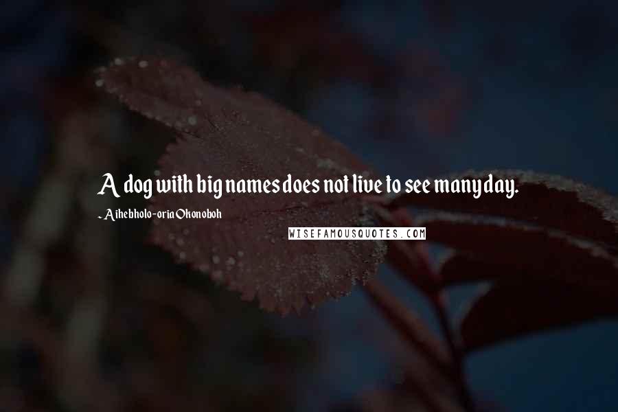 Aihebholo-oria Okonoboh Quotes: A dog with big names does not live to see many day.