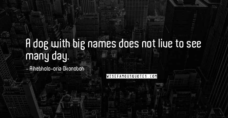 Aihebholo-oria Okonoboh Quotes: A dog with big names does not live to see many day.