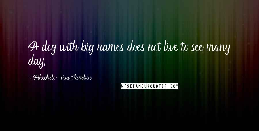 Aihebholo-oria Okonoboh Quotes: A dog with big names does not live to see many day.