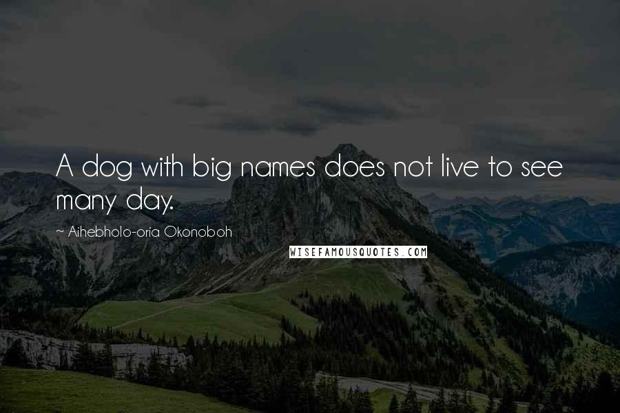 Aihebholo-oria Okonoboh Quotes: A dog with big names does not live to see many day.