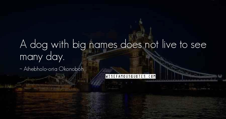 Aihebholo-oria Okonoboh Quotes: A dog with big names does not live to see many day.