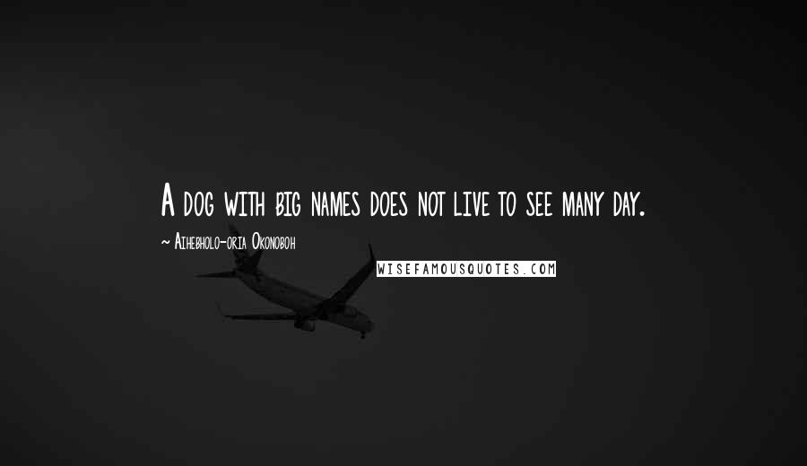 Aihebholo-oria Okonoboh Quotes: A dog with big names does not live to see many day.