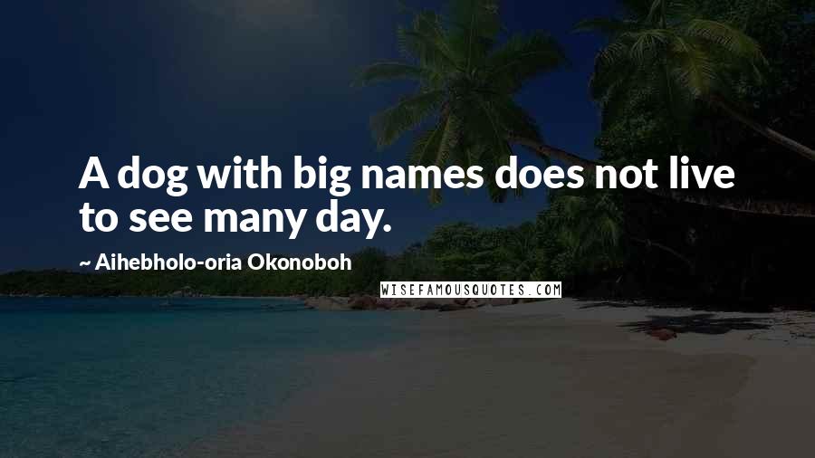 Aihebholo-oria Okonoboh Quotes: A dog with big names does not live to see many day.