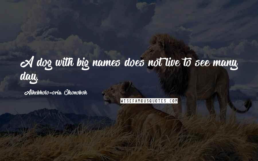 Aihebholo-oria Okonoboh Quotes: A dog with big names does not live to see many day.
