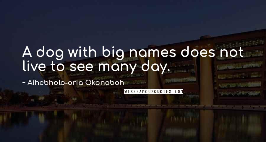 Aihebholo-oria Okonoboh Quotes: A dog with big names does not live to see many day.