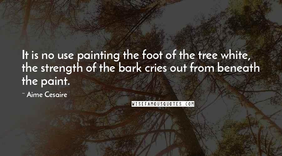 Aime Cesaire Quotes: It is no use painting the foot of the tree white, the strength of the bark cries out from beneath the paint.