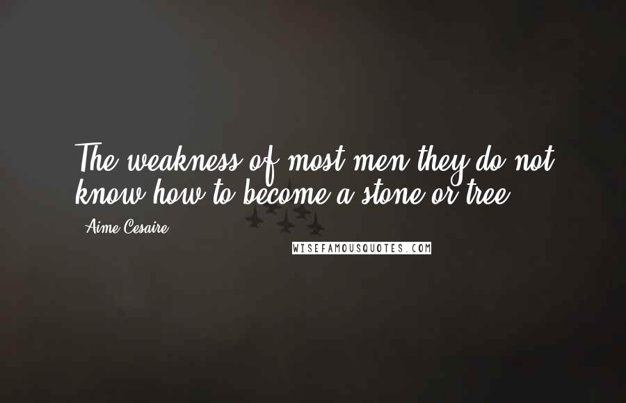 Aime Cesaire Quotes: The weakness of most men they do not know how to become a stone or tree.