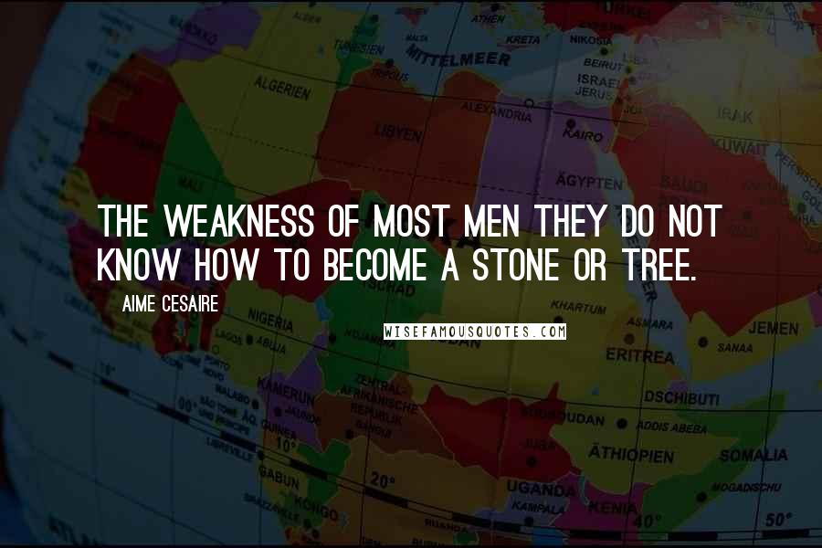 Aime Cesaire Quotes: The weakness of most men they do not know how to become a stone or tree.