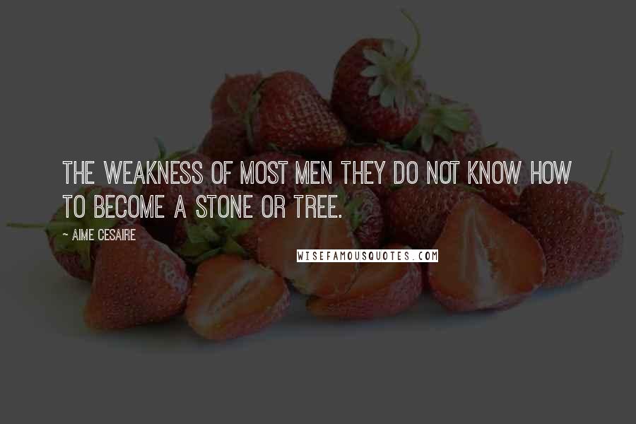 Aime Cesaire Quotes: The weakness of most men they do not know how to become a stone or tree.