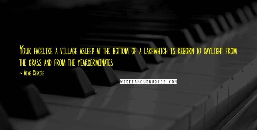 Aime Cesaire Quotes: Your facelike a village asleep at the bottom of a lakewhich is reborn to daylight from the grass and from the yeargerminates