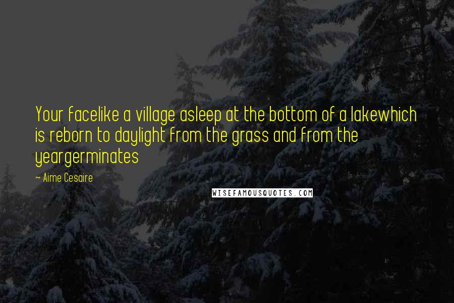 Aime Cesaire Quotes: Your facelike a village asleep at the bottom of a lakewhich is reborn to daylight from the grass and from the yeargerminates